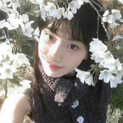 司藤